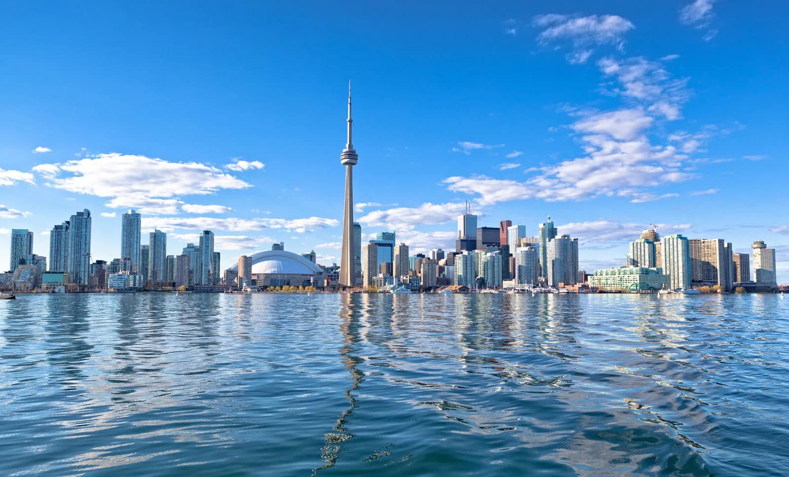 Toronto shared living
